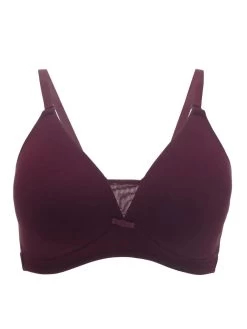 Nykaa Zinfandel Maroon Wirefree Triangle Breathe T Shirt Bra 10 Nykaa Zinfandel Maroon Wirefree Triangle Breathe T Shirt Bra -Shyaway 3 45