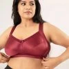 Nykaa Zindfandel Red Non-Padded Minimiser Lift Me Up Bra 2 Nykaa Zindfandel Red Non-Padded Minimiser Lift Me Up Bra -Shyaway 5 1