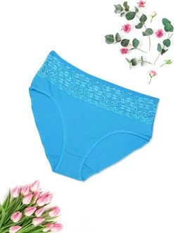 Shyle Sky Blue Lace Front Plus Size Hipster Panty