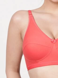 Shyaway -Shyaway ai1002 dubarry closeup