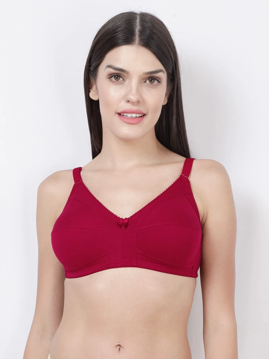 Susie BeetRed Wirefree Full Coverage No Sag M Frame Bra 3 Susie BeetRed Wirefree Full Coverage No Sag M Frame Bra