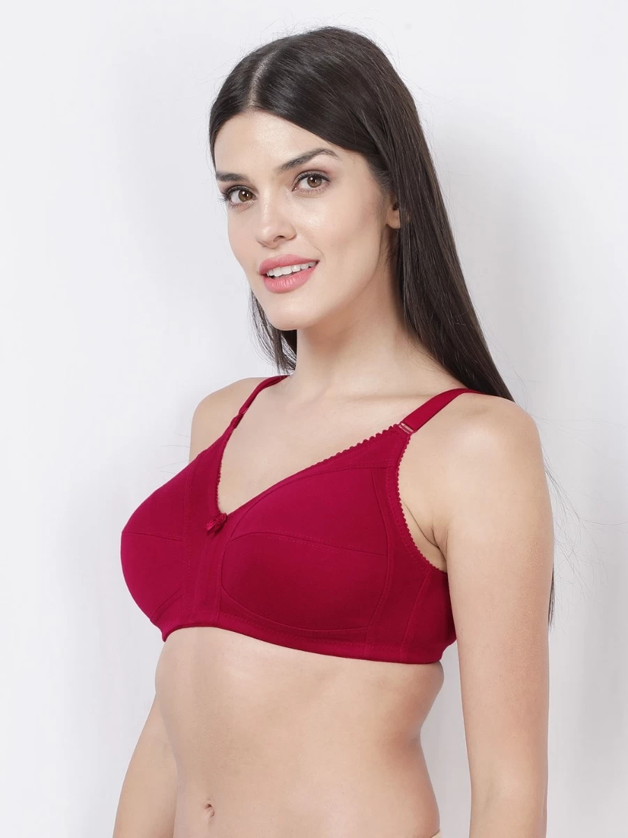 Susie BeetRed Wirefree Full Coverage No Sag M Frame Bra 5 Susie BeetRed Wirefree Full Coverage No Sag M Frame Bra - Image 3
