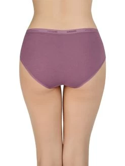 Amante Multicolor Pack Of 3 Solid Hipster -Shyaway back 2 2 2