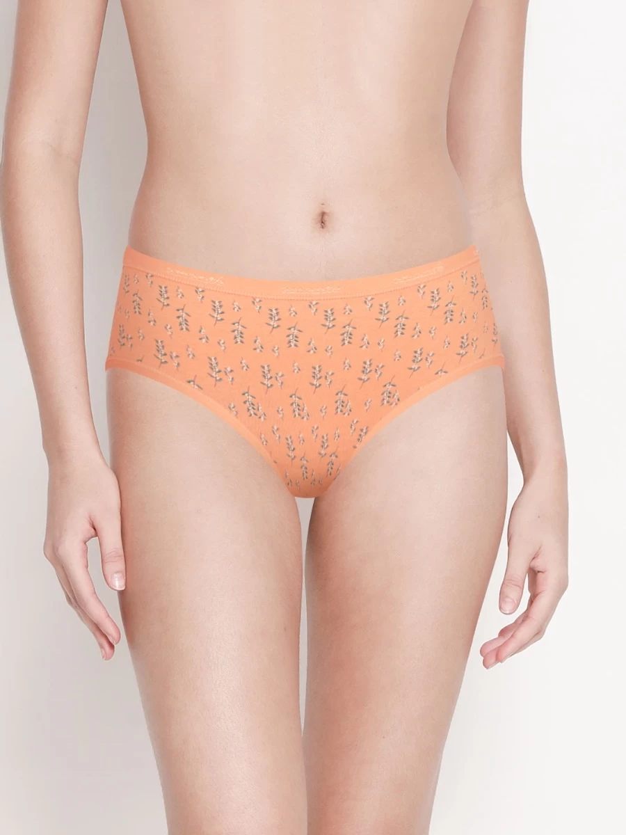 Amante Multicolor Pack Of 3 Printed Hipster 6 Amante Multicolor Pack Of 3 Printed Hipster - Image 4