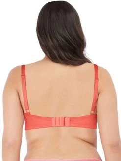 Susie Dubarry Orange Non Padded Moulded Plunge Bra 7 Susie Dubarry Orange Non Padded Moulded Plunge Bra -Shyaway dip1001 dubarry 2
