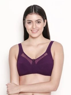 Susie Dark Purple Mesh Neckline Non Padded Everyday Bra