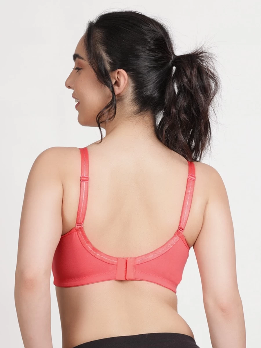 Susie Dubarry Scallop Neckline Padded Bra 6 Susie Dubarry Scallop Neckline Padded Bra - Image 4