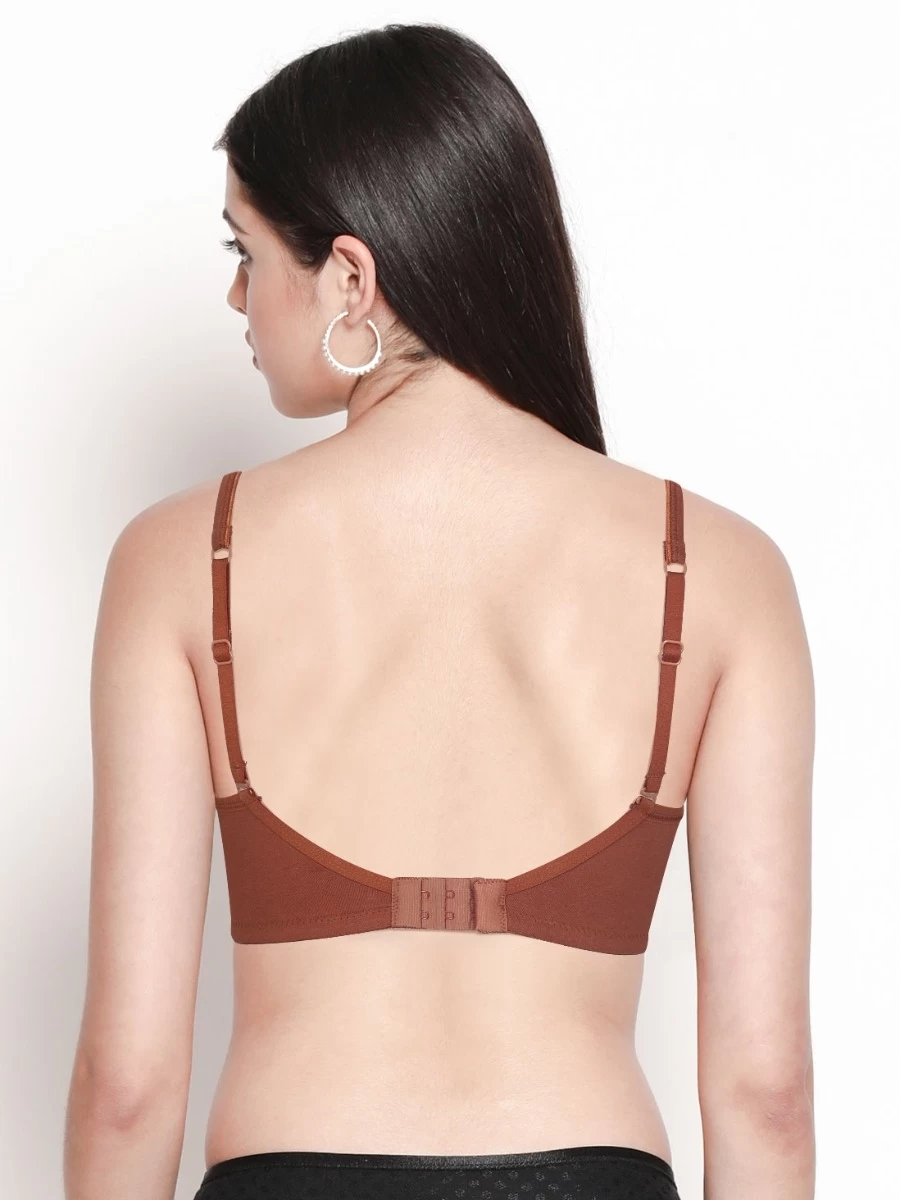 Susie Rustic Brown Tipping Elastic Padded Everyday Bra 5 Susie Rustic Brown Tipping Elastic Padded Everyday Bra - Image 3