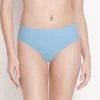 Susie Angefalls Blue Medium Coverage Solid Bikini Panty