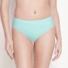 Susie Skylight Blue Medium Coverage Solid Bikini Panty