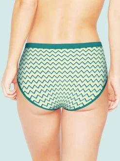 Taabu Multicolour Printed Polyamide Bikini Panty Combo B -Shyaway prtp011 cadmiumgreen back 1