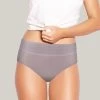 Susie Storm Front Grey Solid Cotton High Waist Hipster Panty